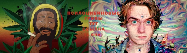 бошки Рославль