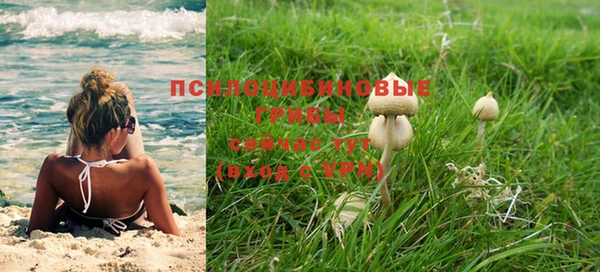 ГАЛЛЮЦИНОГЕННЫЕ ГРИБЫ Дмитриев