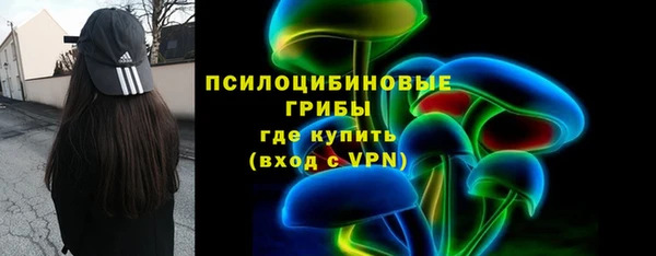 ПСИЛОЦИБИНОВЫЕ ГРИБЫ Приозерск