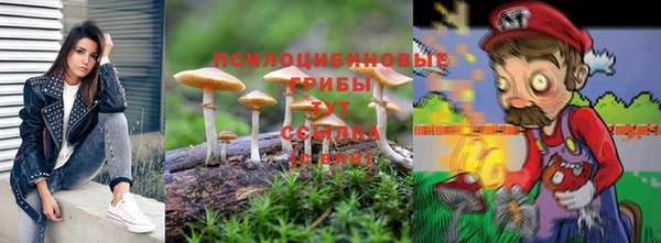 mdpv Ростов