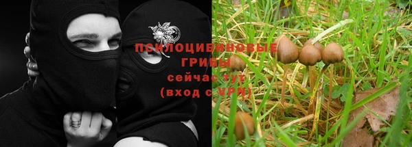 синтетический гашиш Россошь