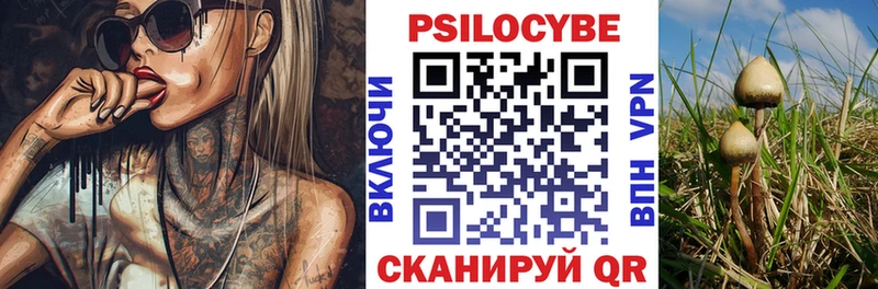 Псилоцибиновые грибы Psilocybine cubensis  Агрыз 
